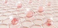 Collagène hydrolysé
